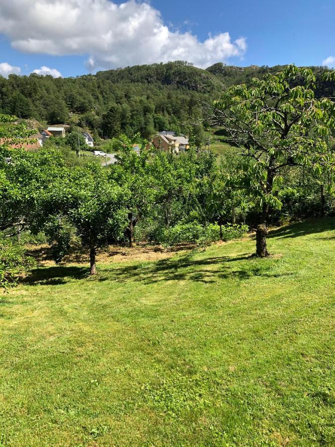 Sokndal - Cozy Vacation Home In Peaceful Surroundings Algard  エクステリア 写真